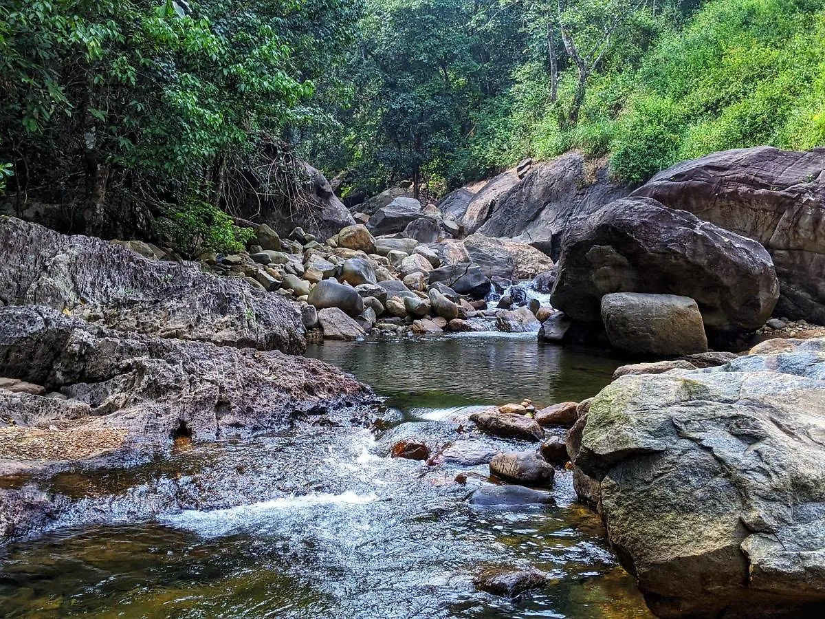Sierra Brook Resorts Meppadi India