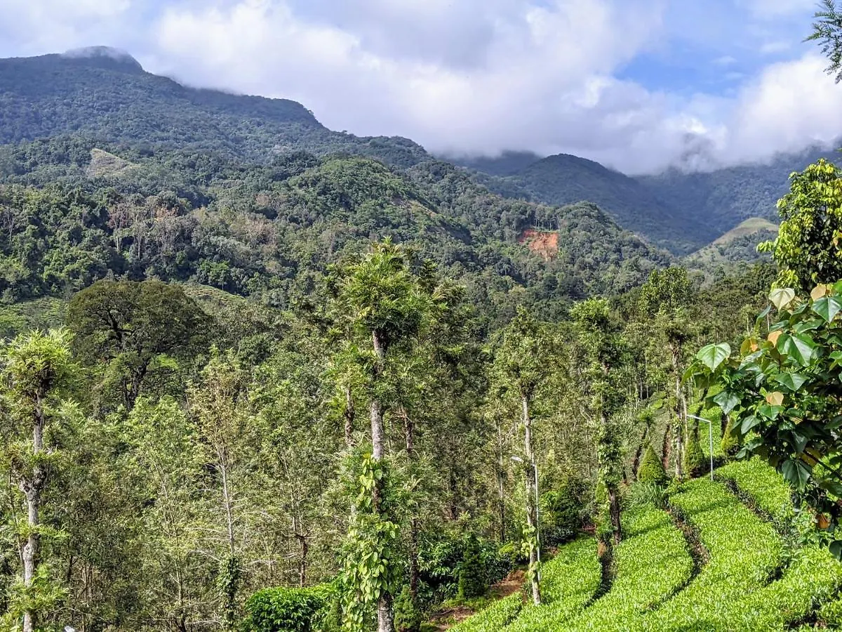 Sierra Brook Resorts Meppadi