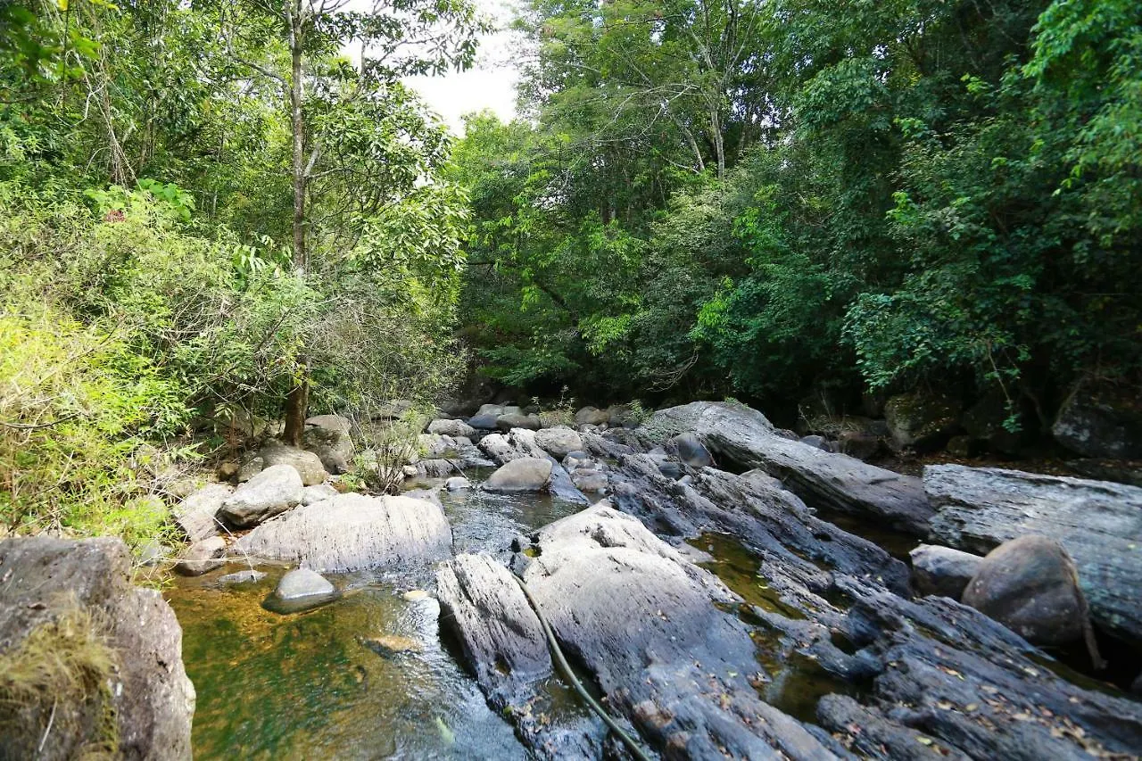 Sierra Brook Resorts Meppadi India