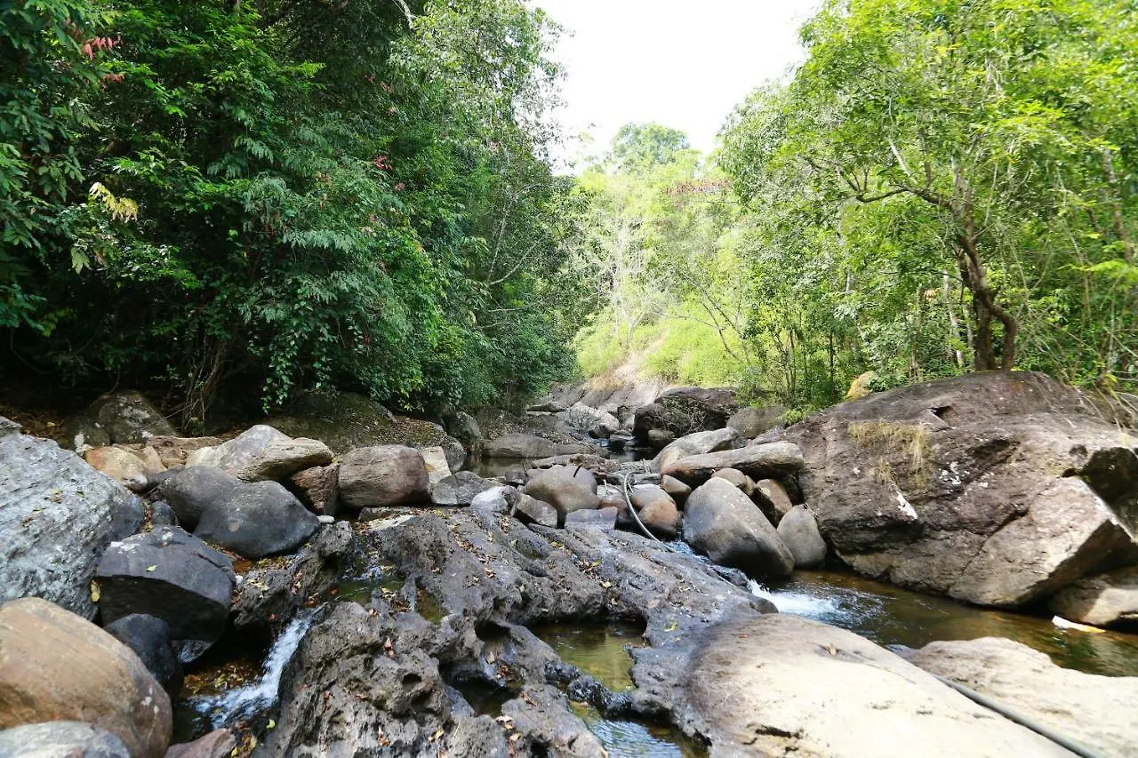 Sierra Brook Resorts Meppadi